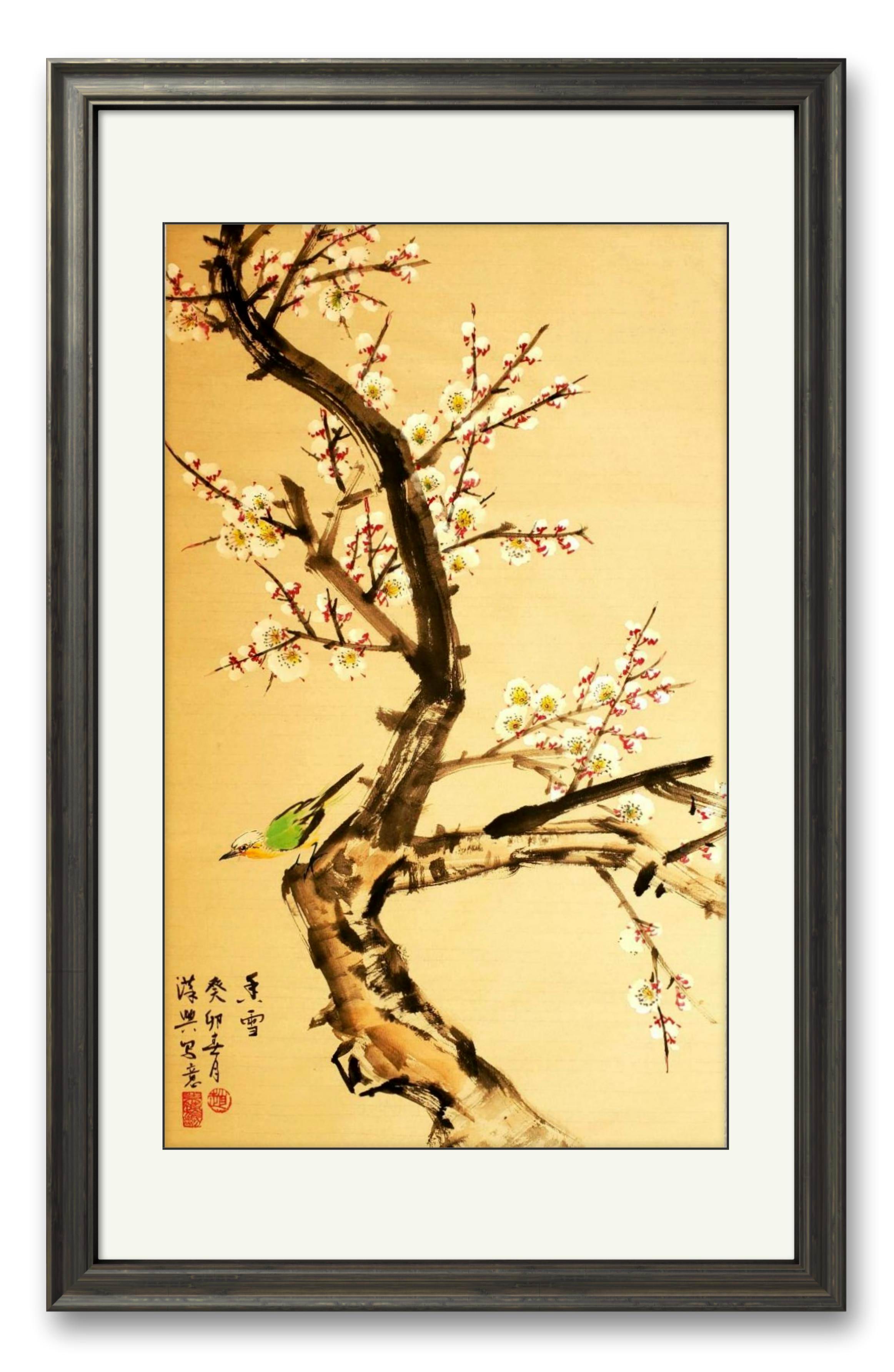 White Plum Blossoms 白头翁白梅